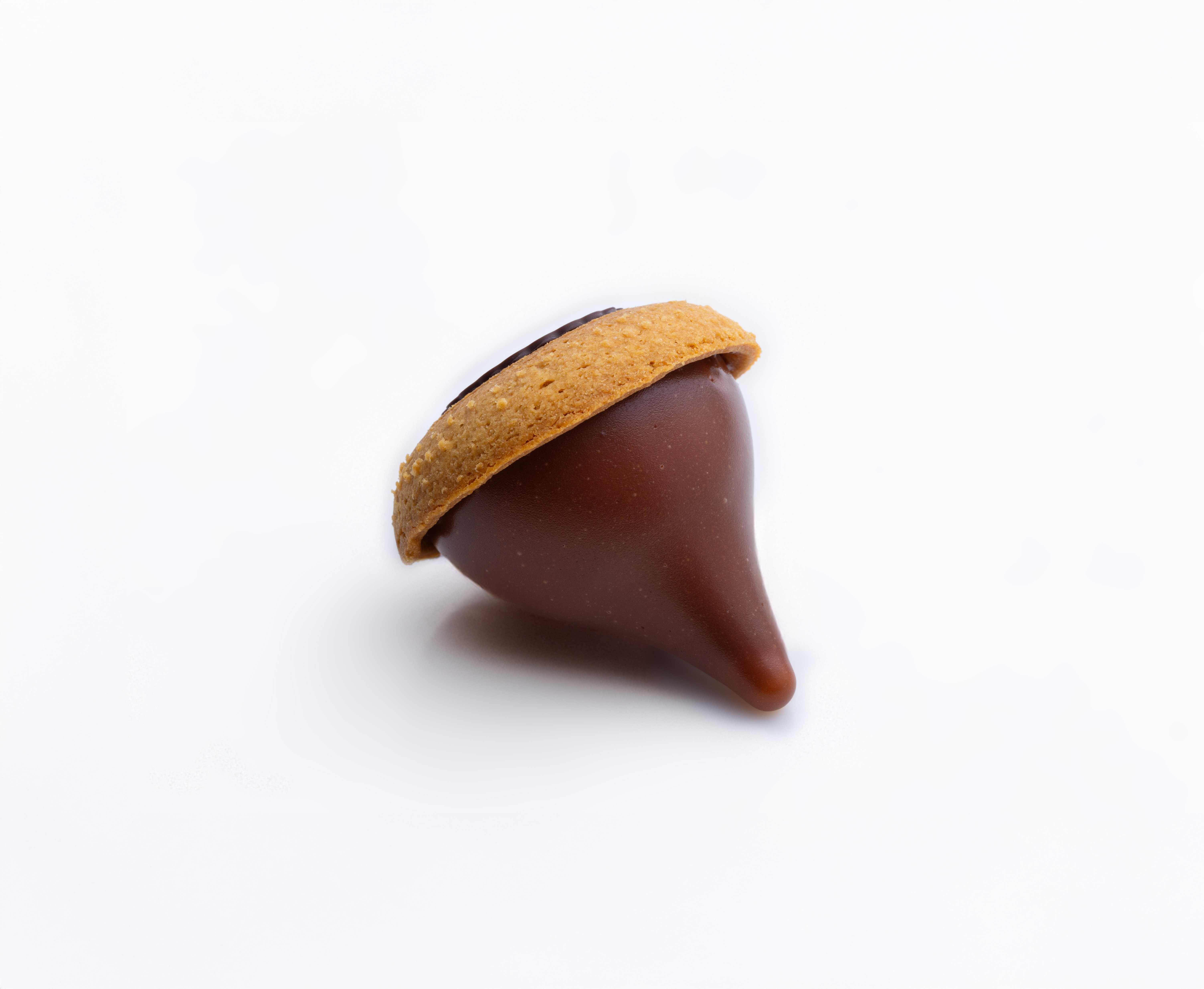 NOCCIOLA 2.0